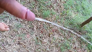 1586 gay outdoor porn videos